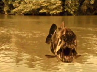 You Can Watch Mega Piranha Free on The Asylum’s YouTube Channel